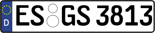 ES-GS3813