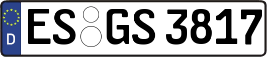 ES-GS3817