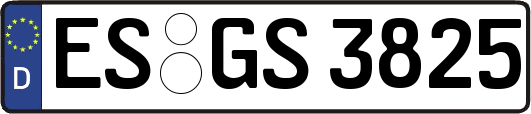 ES-GS3825