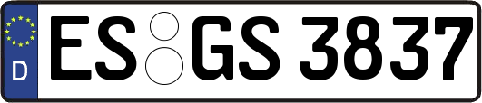 ES-GS3837