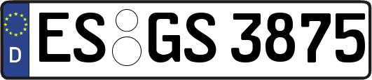 ES-GS3875