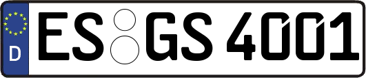 ES-GS4001