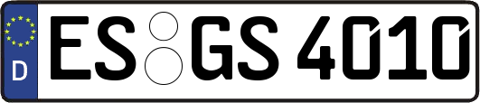 ES-GS4010