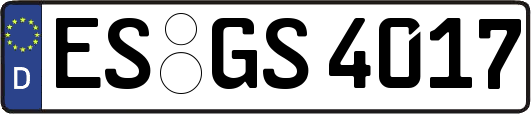 ES-GS4017