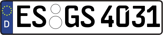 ES-GS4031