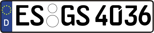 ES-GS4036