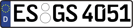 ES-GS4051
