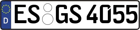 ES-GS4055