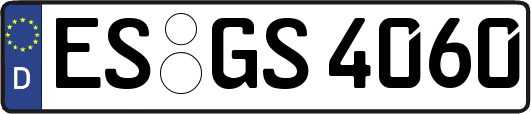 ES-GS4060