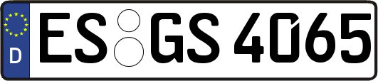 ES-GS4065