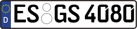 ES-GS4080