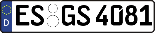 ES-GS4081