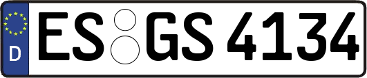 ES-GS4134