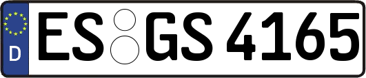 ES-GS4165