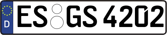 ES-GS4202