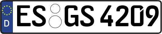 ES-GS4209