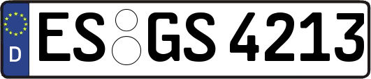 ES-GS4213