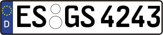 ES-GS4243