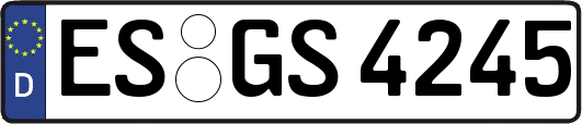 ES-GS4245