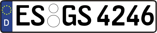 ES-GS4246