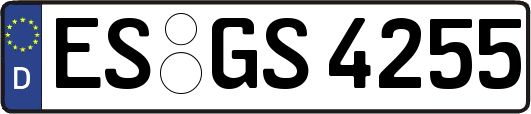 ES-GS4255