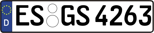 ES-GS4263
