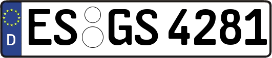 ES-GS4281