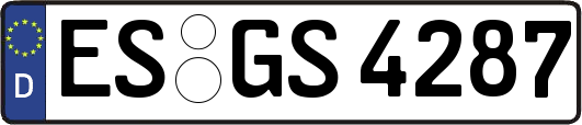 ES-GS4287