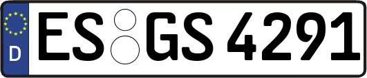 ES-GS4291