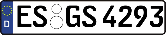 ES-GS4293