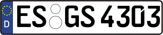 ES-GS4303
