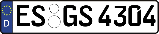 ES-GS4304