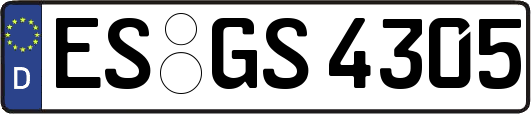 ES-GS4305