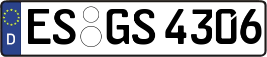 ES-GS4306