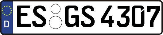 ES-GS4307