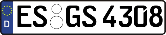 ES-GS4308