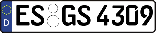 ES-GS4309
