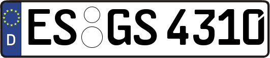 ES-GS4310