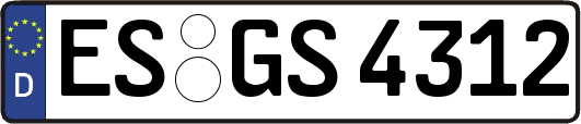 ES-GS4312