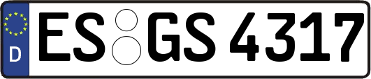 ES-GS4317