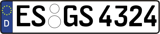 ES-GS4324