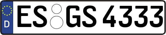 ES-GS4333