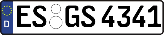 ES-GS4341