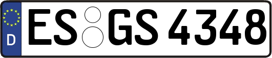 ES-GS4348
