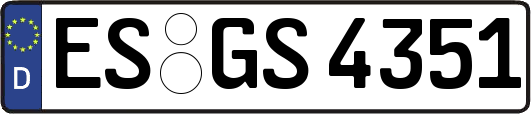 ES-GS4351
