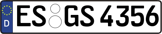 ES-GS4356