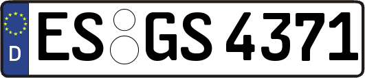 ES-GS4371