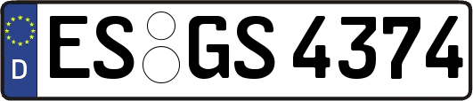 ES-GS4374