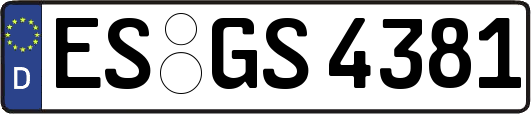 ES-GS4381