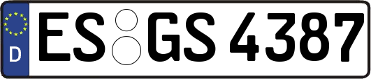 ES-GS4387